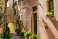 Bildet viser en liten, smal gate i sollys. Mange potter med grønne planter. Midt i landsby i gangavstand til feriebostedet La Pergola ved Pisa i Toscana. 