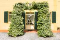 Bildet viser pergola over inngangsdør til stor villa ved Pisa i Toscana.