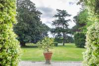 Bildet viser jasminhekk utenfor herskapelig villa ved Pisa i Toscana.