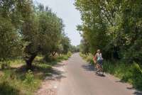 Bildet viser sykkeltur på rolig landevei i nærområdet til villa ved Pisa.