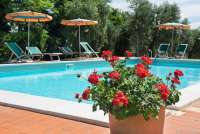 Bilde av blosterkrukke ved svømmebassenget på vingården Terra di Toscana. Sol og sommer.