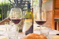 Foto av vingårdens egen vin i glass og flaske. Terra di Toscana i Chianti.