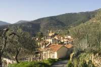 En av skogsveiene inn til landsbyen Montemagno. Her er det tilrettelagt for fotturer i åsene. En av skogsveiene inn til landsbyen Montemagno. Her er det tilrettelagt for fotturer i åsene. Bilde