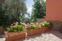 Bildet viser blomster i terrakottapotter på terrassen utenfor ferieleiligheten Casa Rosa i Toscana.