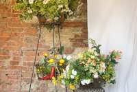 Bildet viser blomster utenfor vakker villa til utleie i Toscana.