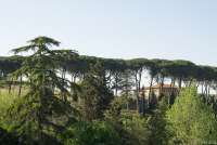Bildet viser Villa Sole sett fra landsbyen. Villa formidlet av SiToscana i hjertet av Toscana.