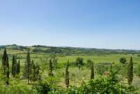 Bildet viser utsikt over toskansk landskap fra feriebosted nært Pisa.