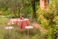 Bildet viser toskansk hage på gårdsferie i Toscana.