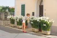 Bildet viser toskansk hus med vakre blomster.