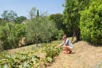 Bildet viser grønnsakshage på feriebosted ved Pisa i Toscana.