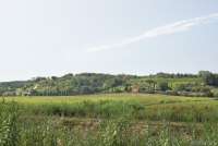 Bildet viser toskanske åser og vingård med utsikt i Toscana.