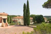 Bildet viser sypresser og ferieleiligheter på toskansk vingård.