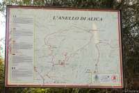 Bildet viser turkart ved vingård i Italia.