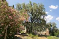 Bildet viser villa med ferieleiligheter i Toscana.