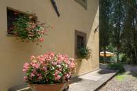 Bildet viser blomster i hagen utenfor stort feriehus med privat basseng i Toscana.